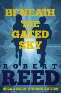 Cover image: Beneath the Gated Sky 9780312864774