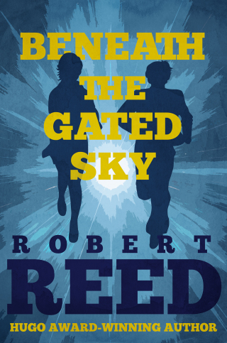 Cover image: Beneath the Gated Sky 9780312864774