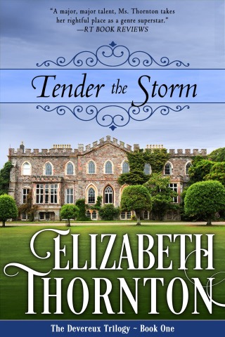 Cover image: Tender the Storm 9781626815643