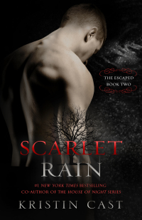 Immagine di copertina: Scarlet Rain 9781626818958