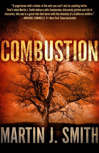 Cover image: Combustion 9781626819207