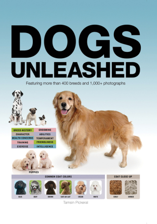 Immagine di copertina: Dogs Unleashed 9781626860681