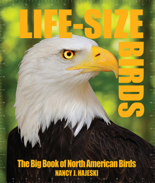 Cover image: Life-Size Birds 9781626864399