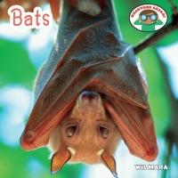 Imagen de portada: Bats 9781627122955