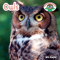 Cover image: Owls 9781627122986