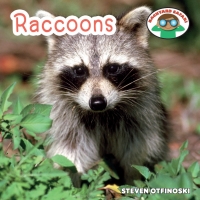 Omslagafbeelding: Raccoons 9781627123013