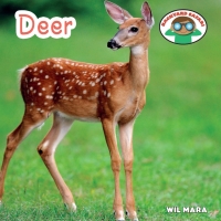 Cover image: Deer 9781627123044