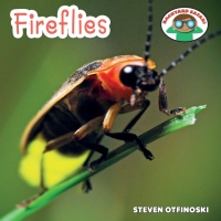 Cover image: Fireflies 9781627123075
