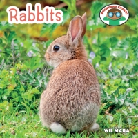 Imagen de portada: Rabbits 9781627123105