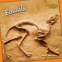 Imagen de portada: Fossils 9781627123228