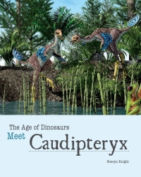 Omslagafbeelding: Meet Caudipteryx 9781627126106