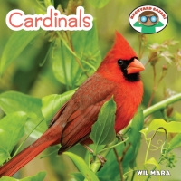 Imagen de portada: Cardinals 9781627128223