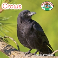 Cover image: Crows 9781627128315