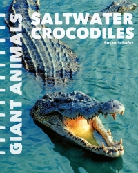 Cover image: Saltwater Crocodiles 9781627129572