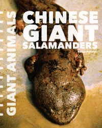 表紙画像: Chinese Giant Salamanders 9781627129602