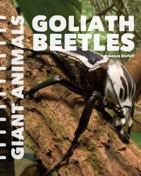 Cover image: Goliath Beetles 9781627129664