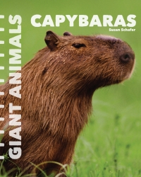 Omslagafbeelding: Capybaras 9781627129695