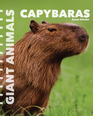 Cover image: Capybaras 9781627129695