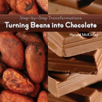 Cover image: Turning Beans into Chocolate 9781627130042