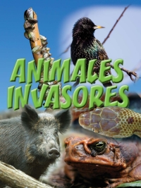Omslagafbeelding: Animales invasores 9781627172813