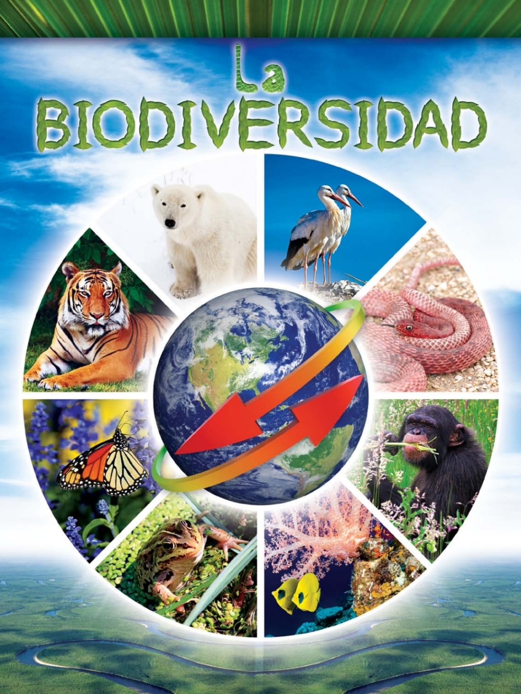 La biodiversidad Biodiversity