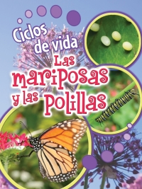 Imagen de portada: Ciclos de vida de las mariposas y las polillas 9781627174015