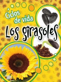 Imagen de portada: Ciclos de vida los girasoles 9781627172752