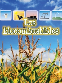 Imagen de portada: Los biocombustibles 9781627173025