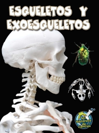 Omslagafbeelding: Esqueletos y exoesqueletos 9781627173087