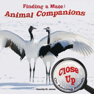 صورة الغلاف: Finding a Mate 9781627177542