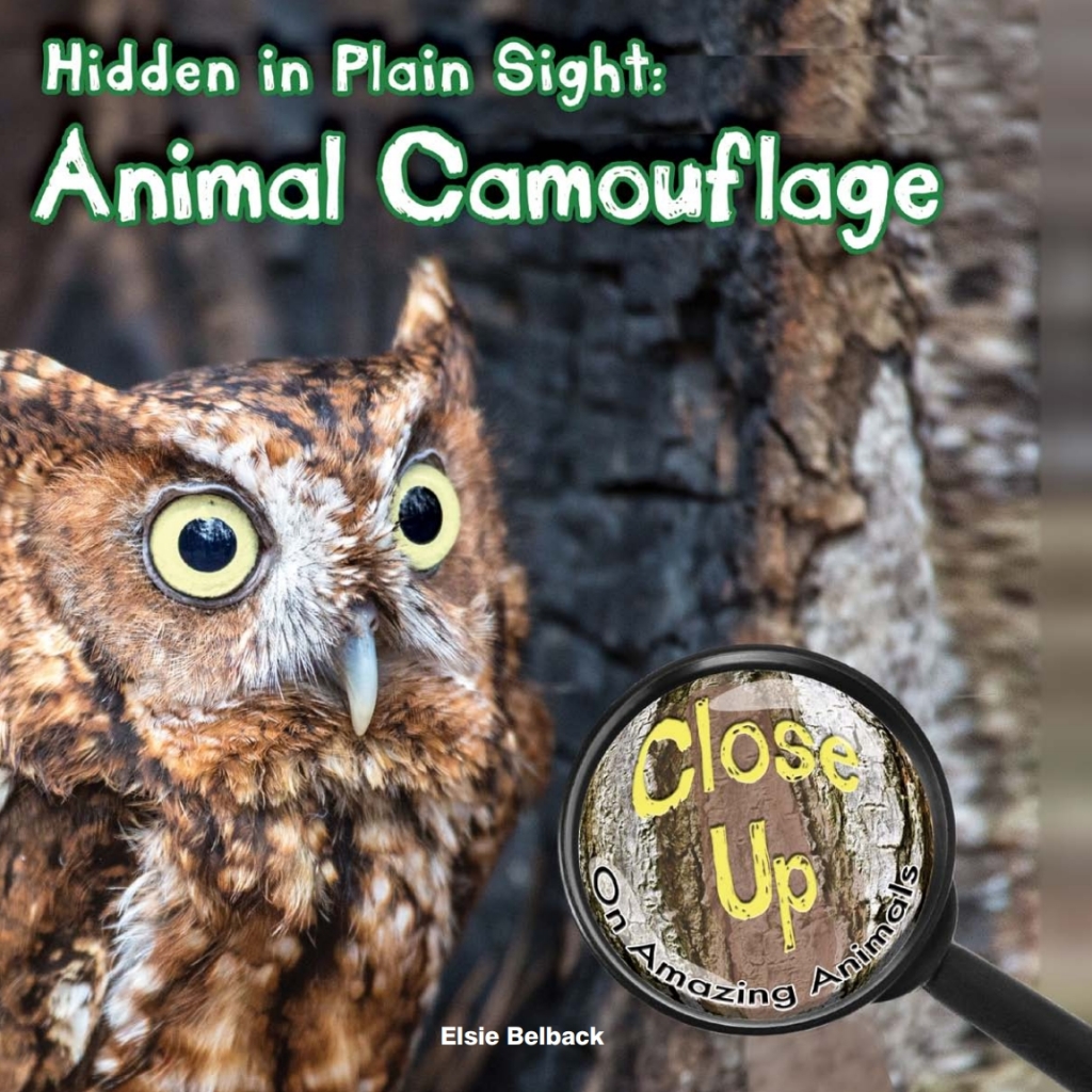 Hidden in Plain Sight Animal Camouflage