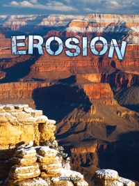 Cover image: Erosion 9781627178730