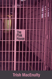 Titelbild: The Pink House 9781627201032