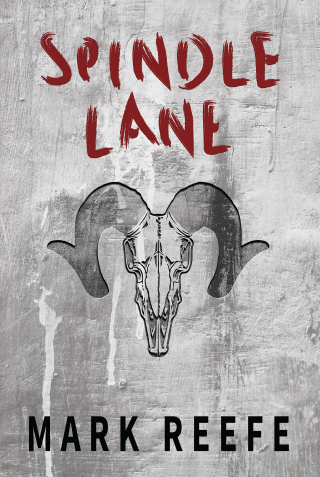 Cover image: Spindle Lane 9781627203050