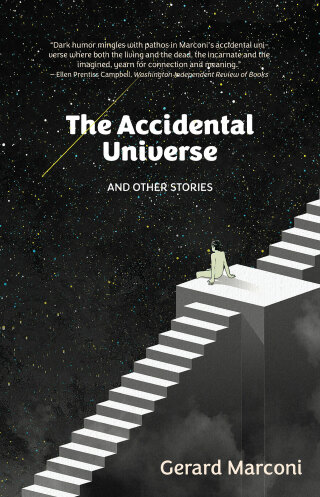 صورة الغلاف: The Accidental Universe and Other Stories 9781627204750