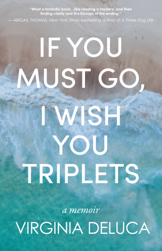 Cover image: If You Must Go, I Wish You Triplets 9781627205542