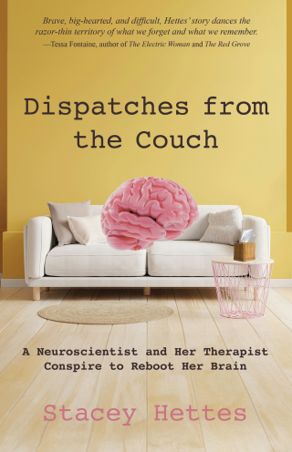 Imagen de portada: Dispatches from the Couch 9781627205665