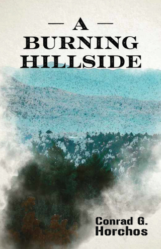 Cover image: A Burning Hillside 9781627205696