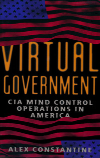 Immagine di copertina: Virtual Government 9780922915453