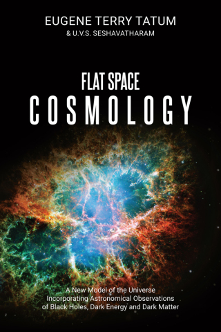 Cover image: Flat Space Cosmology 9781627343398