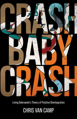 Cover image: Crash Baby Crash 9781627344791