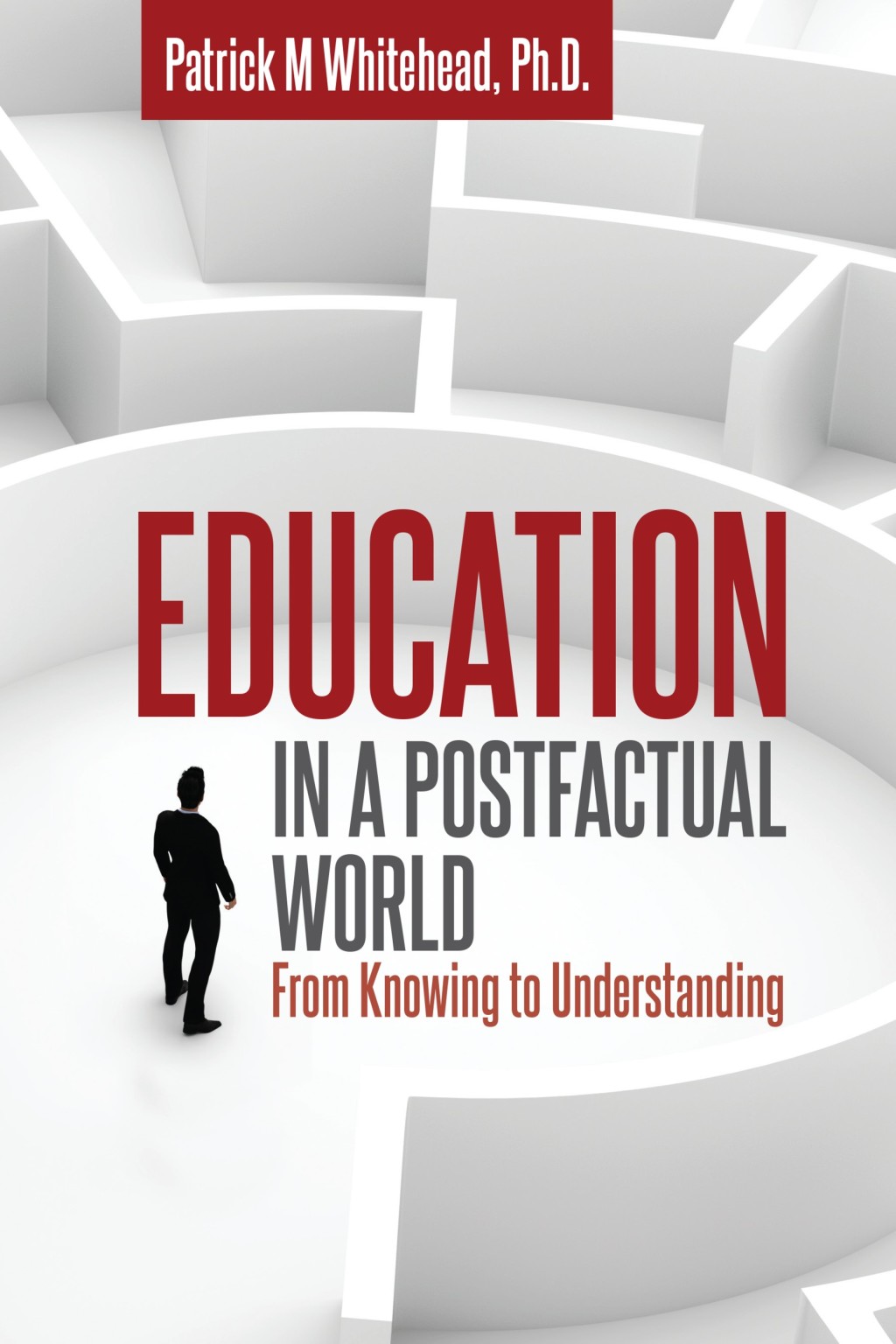 Education in a Postfactual World From Knowing to Understanding