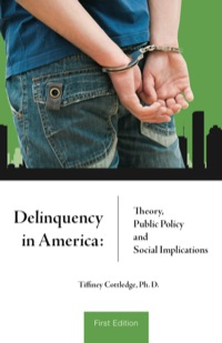 Cover image: Delinquency in America: Theory, Public Policy and Social Implications 1st edition 9781627514040