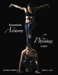 Cover image: Essentials of Anatomy and Physiology Lab I 1st edition 9781627518802