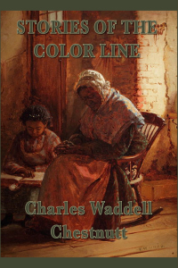 Omslagafbeelding: Stories of the Color Line 9781617206764