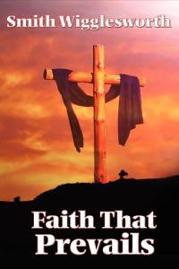 Omslagafbeelding: Faith That Prevails 9781627554985