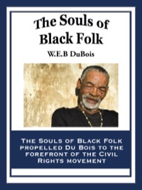 Omslagafbeelding: The Souls of Black Folk 9781604592139