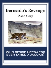 Omslagafbeelding: Bernardo's Revenge 9781627558846