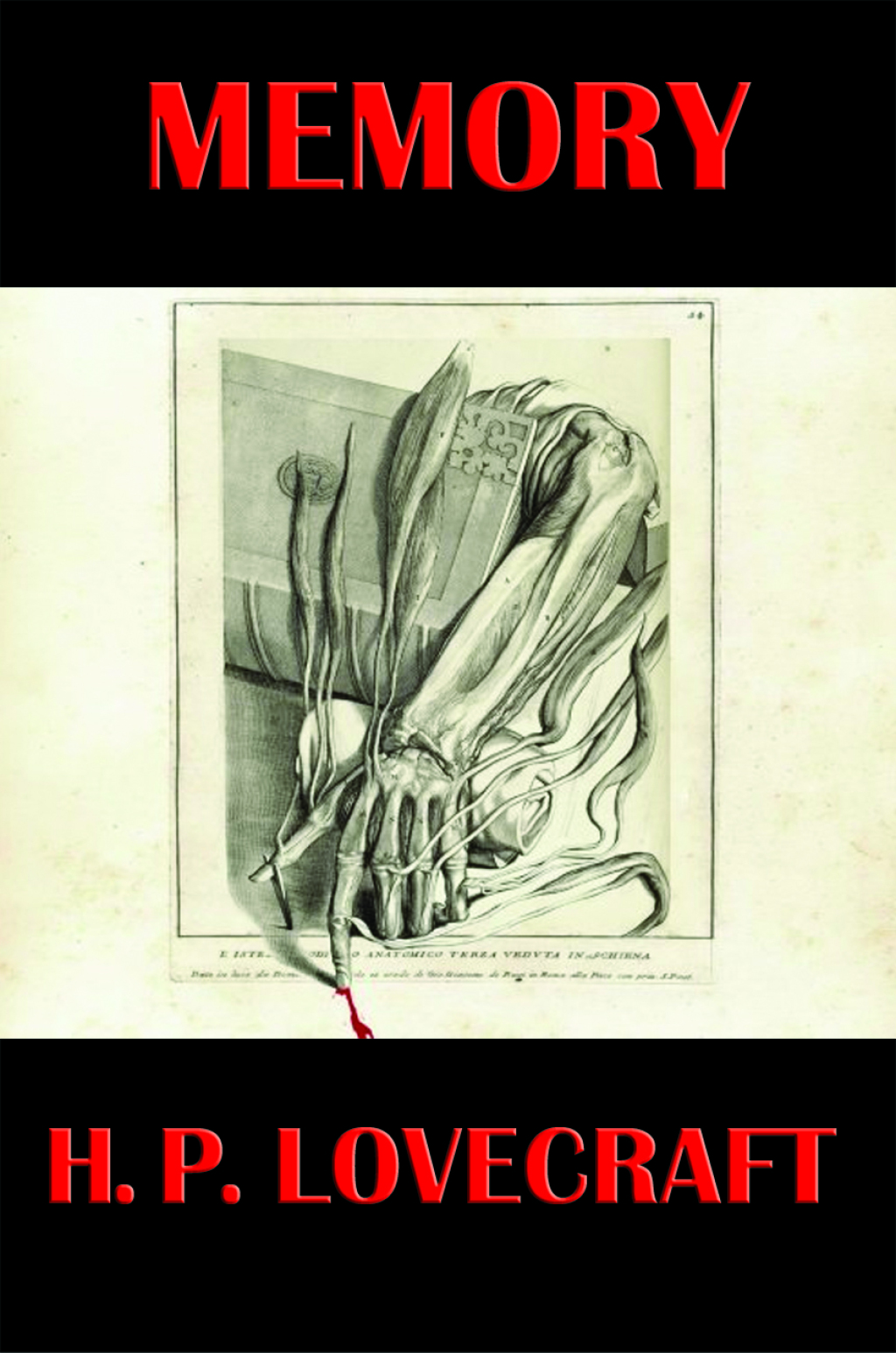 Memory (eBook)