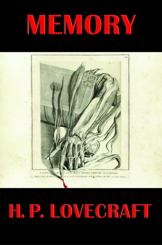 Cover image: Memory 9781627559041